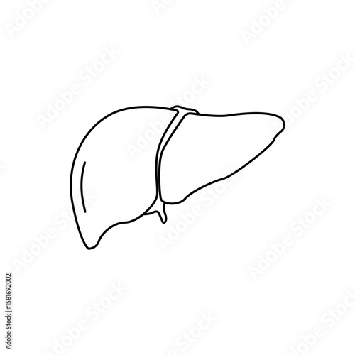 Human liver icon illustration