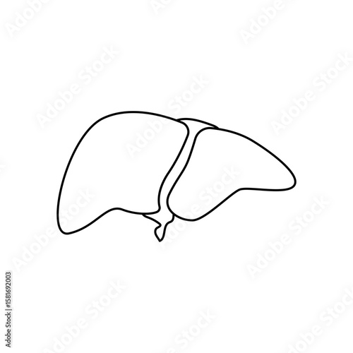 Human liver icon illustration
