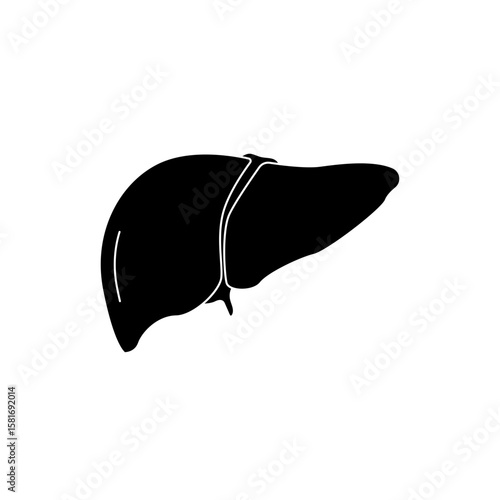 Human liver icon illustration