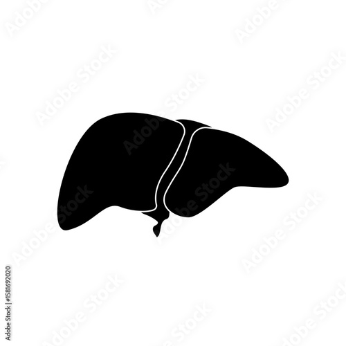 Human liver icon illustration