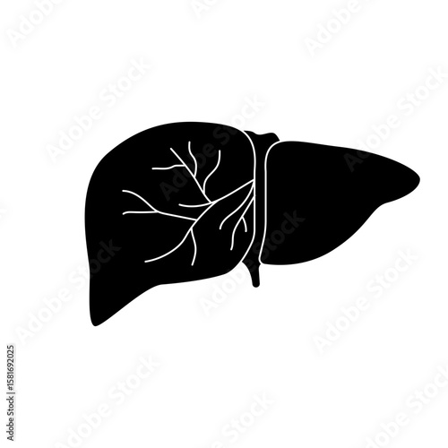 Human liver icon illustration