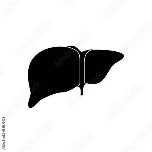 Human liver icon illustration