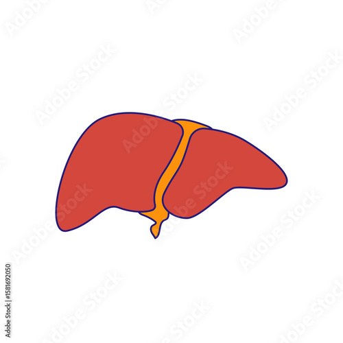 Human liver icon illustration