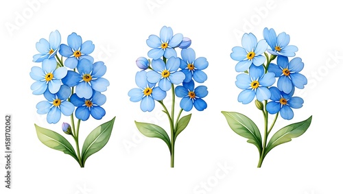 Delicate blue forget me not flowers with green leaves image