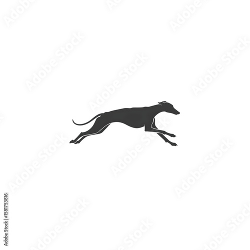 Elegant greyhound silhouette running on a black background conveys speed and grace for athletic and design uses.