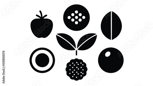 Colorful Vector Icon Set of Superfoods Healthy Eating and Nutrition Concepts