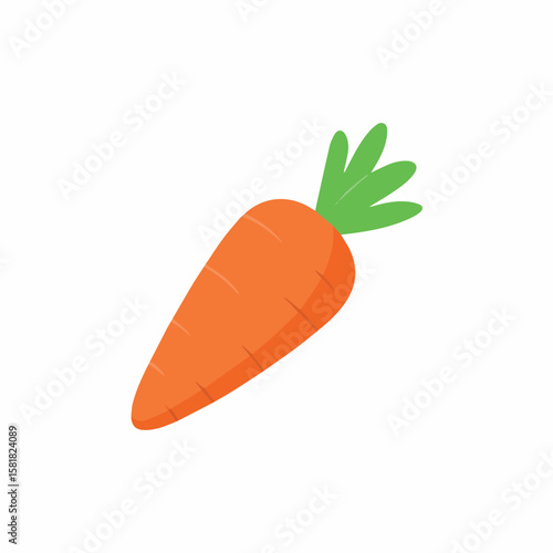 Download high resolution carrot vector illustration for free healthy food and diet concept image vector