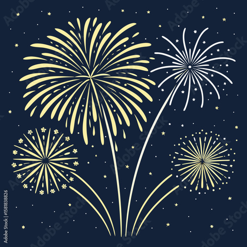 
fireworks in the night sky