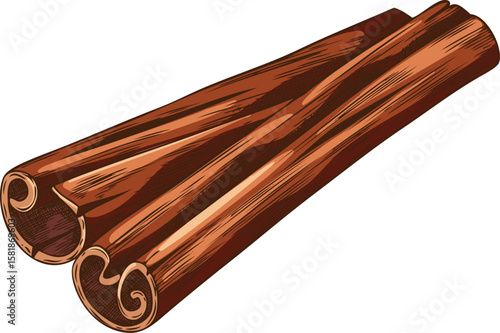 Rolled sticks of cinnamon sketch vector icon, hand drawn aromatic spice, dry flavor condiment, mulled wine ingredient