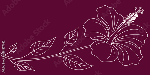 Single-line vector illustration of a hibiscus flower. Minimalist rose mallow continuous outline artwork dark pink background.