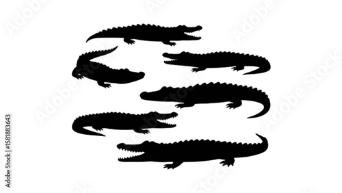 vector illustration of a crocodile set