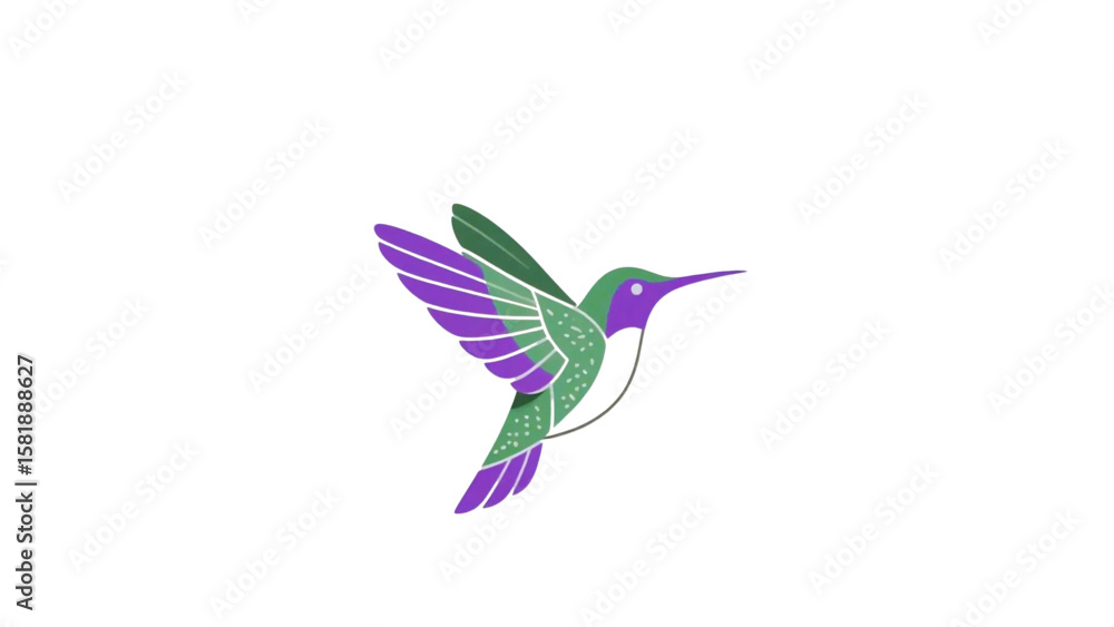 Obraz premium hummingbird in flight