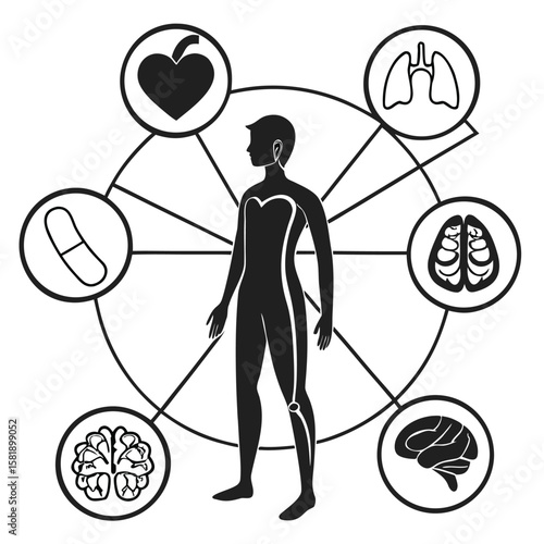 black silhouette vector internal organ diagram