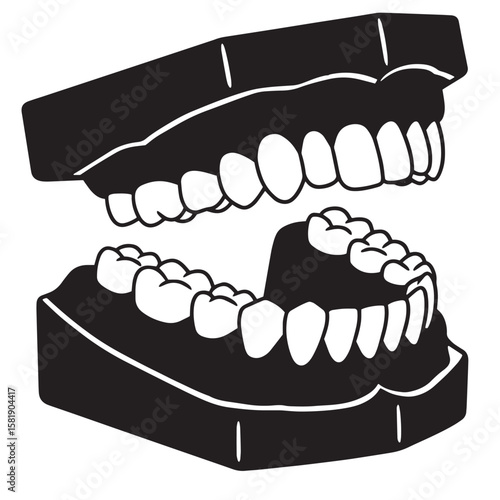 Simple black and white illustration of human teeth showing dental anatomy and structure