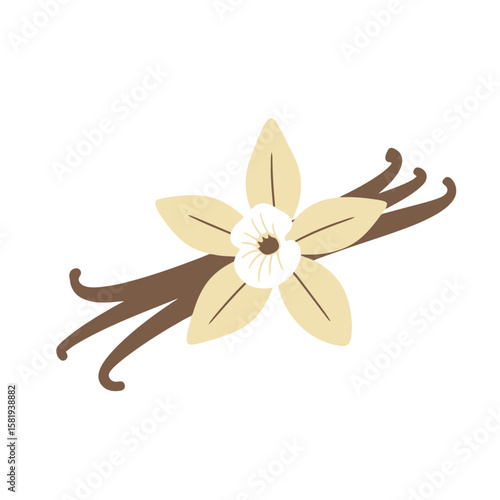 Vanilla Bean Blossom: Culinary Flavor and Aroma