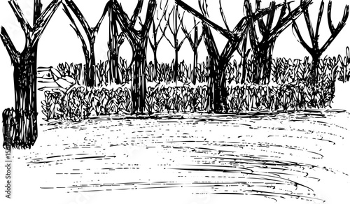 Quick sketch of wetlands and grassy undergrowth