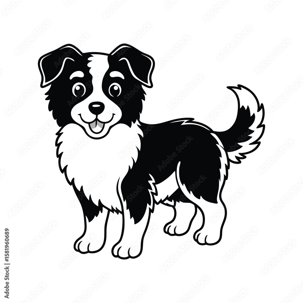 Fototapeta premium Happy black and white dog standing puppy border collie
