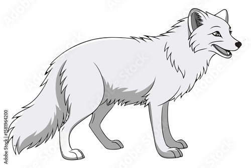 An arctic fox stands alert on a white background