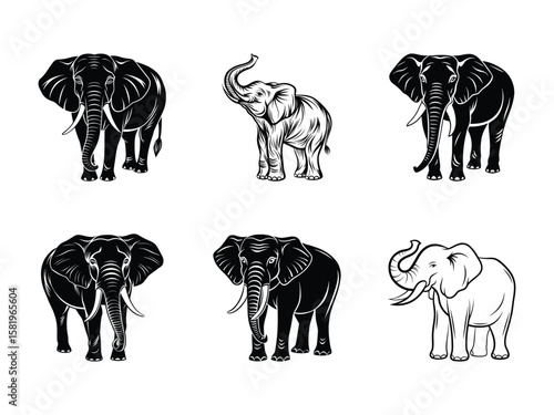 Six elephant illustrations black white elephants drawing