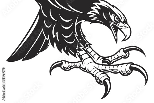 Fierce eagle claw illustration