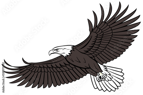 A bald eagle soars with its wings spread wide