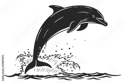 A black silhouette of a dolphin jumping from the water