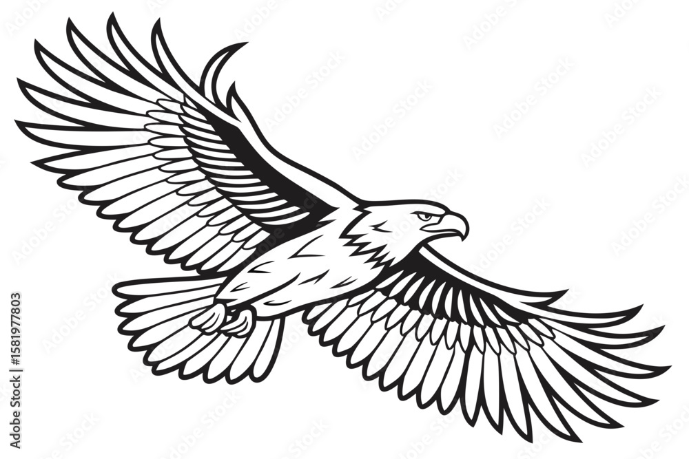 Obraz premium An eagle soars with wings spread wide in flight