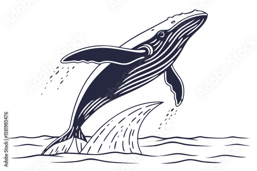 Humpback whale breaching from the ocean waves, dark blue illustration