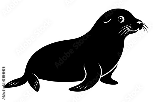 sea lion vector