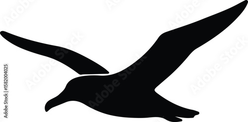 Silhouette seagull flying gracefully in the air Vector Illustrator