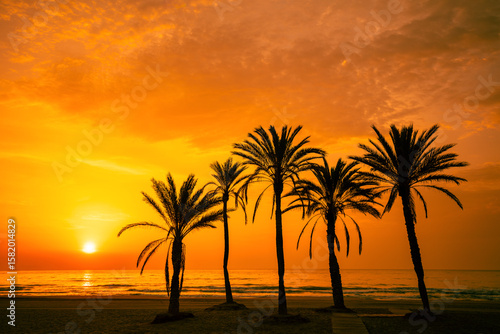 Seascape in the early morning during a beautiful sunrise. Palm trees on the beach. San Juan beach, Alicante, Spain