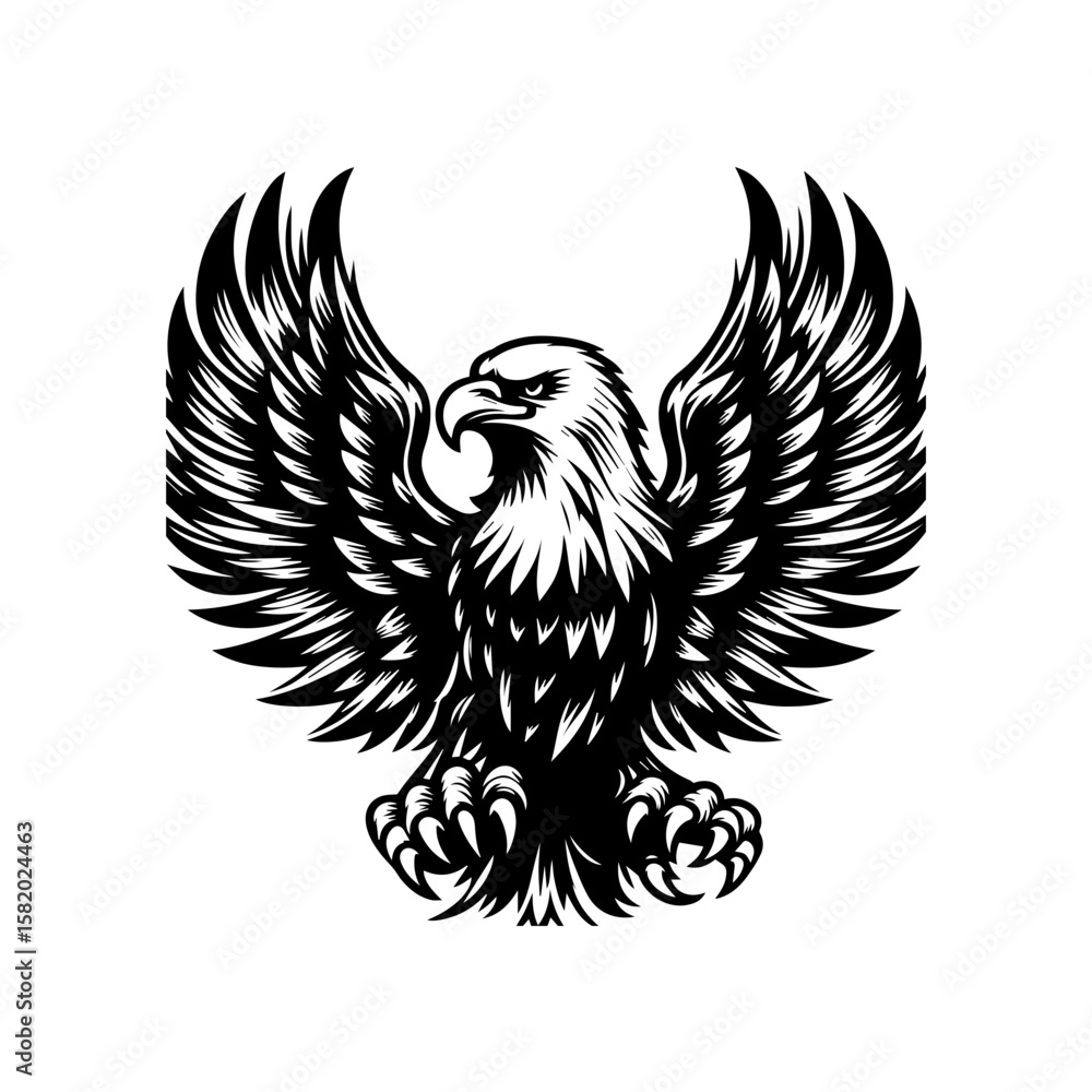 Fototapeta premium eagle with wings