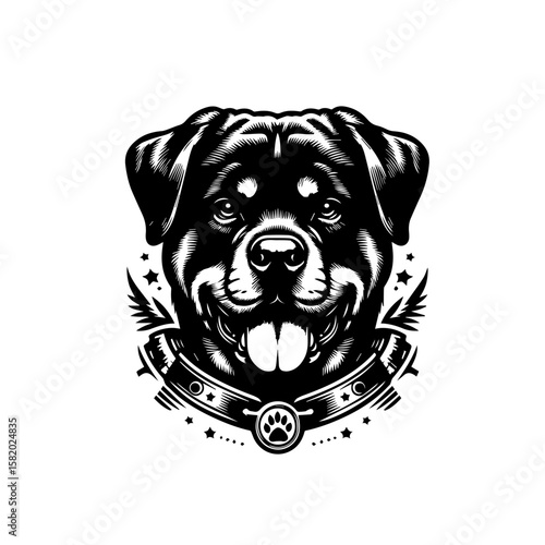 Black Labrador Retriever dog sitting with a bone on a white background, showcasing its cute and adorable puppy features