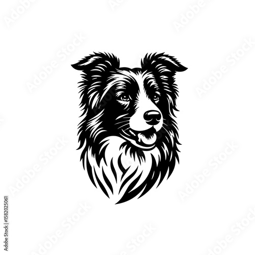 vector illustration of a dog
