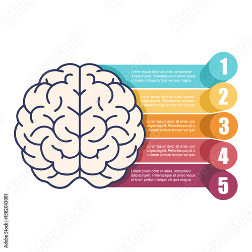 Personal growth and development. Business and education concept. Five features or option of project to select. Minimal infographic illustration for business and science information visualization.