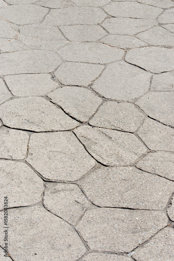 Obraz premium paving stones