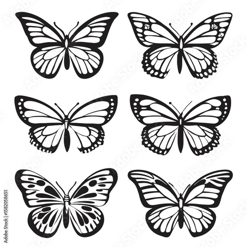 Six detailed butterfly illustrations insect wing