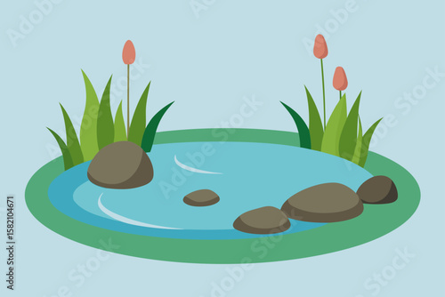 spring fed pond with stones and aquatic plants