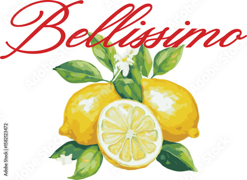 Lemon Amalfi Fruit juicy organic fruits italy trending Script Slogan Graphic Tee t-shirt logo artwork typography tote badge emblem crest Fashion trendy Europe  euro summer clothing slogan design