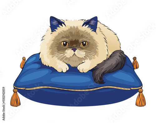 Cute Ragdoll Cat Sleeping on Blue Pillow