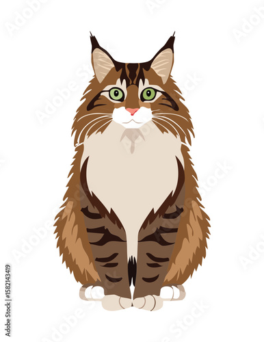 Cute Brown Tabby Cat