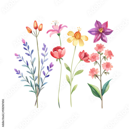 Wallpaper Mural vector illustration of flowers. Floral watercolor set. Different vector elements. Hand drawn detailed botanical vector illustration Torontodigital.ca