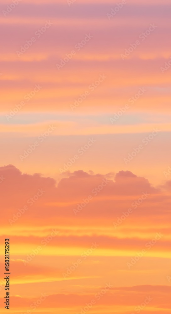 Fototapeta premium 茜空の詩