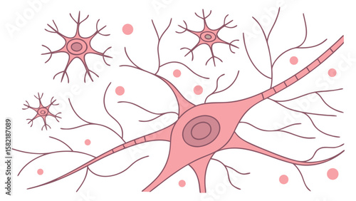 Illustration of nerve cells with dendrites and axons in a biological diagram with pink and white colors