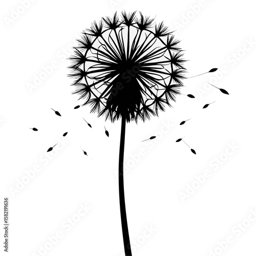 Wallpaper Mural Black silhouette of a dandelion puff ready to blow isolated on white background Torontodigital.ca