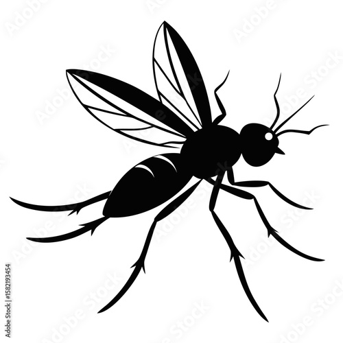 Delicate silhouette of a small gnat in flight isolated on white background