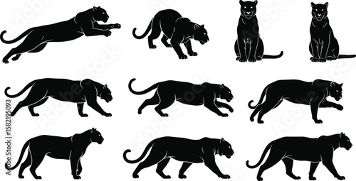 Black panther silhouette set, wild jungle predator poses, vector illustration of fierce feline cat in walking, hunting, and sitting positions