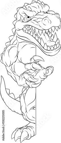 Crocodile Alligator Cartoon...