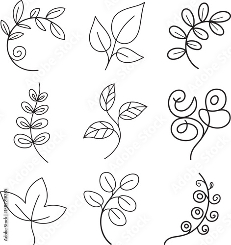 Decorative botanical elements with swirling stems and leaves vector