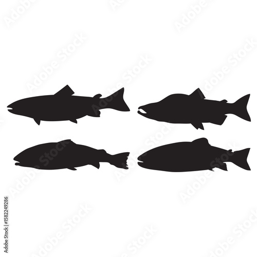 Salmon fish, seafood, sketch. Vintage retro print, seafood salmon fish sketch, sea life vector Illustration